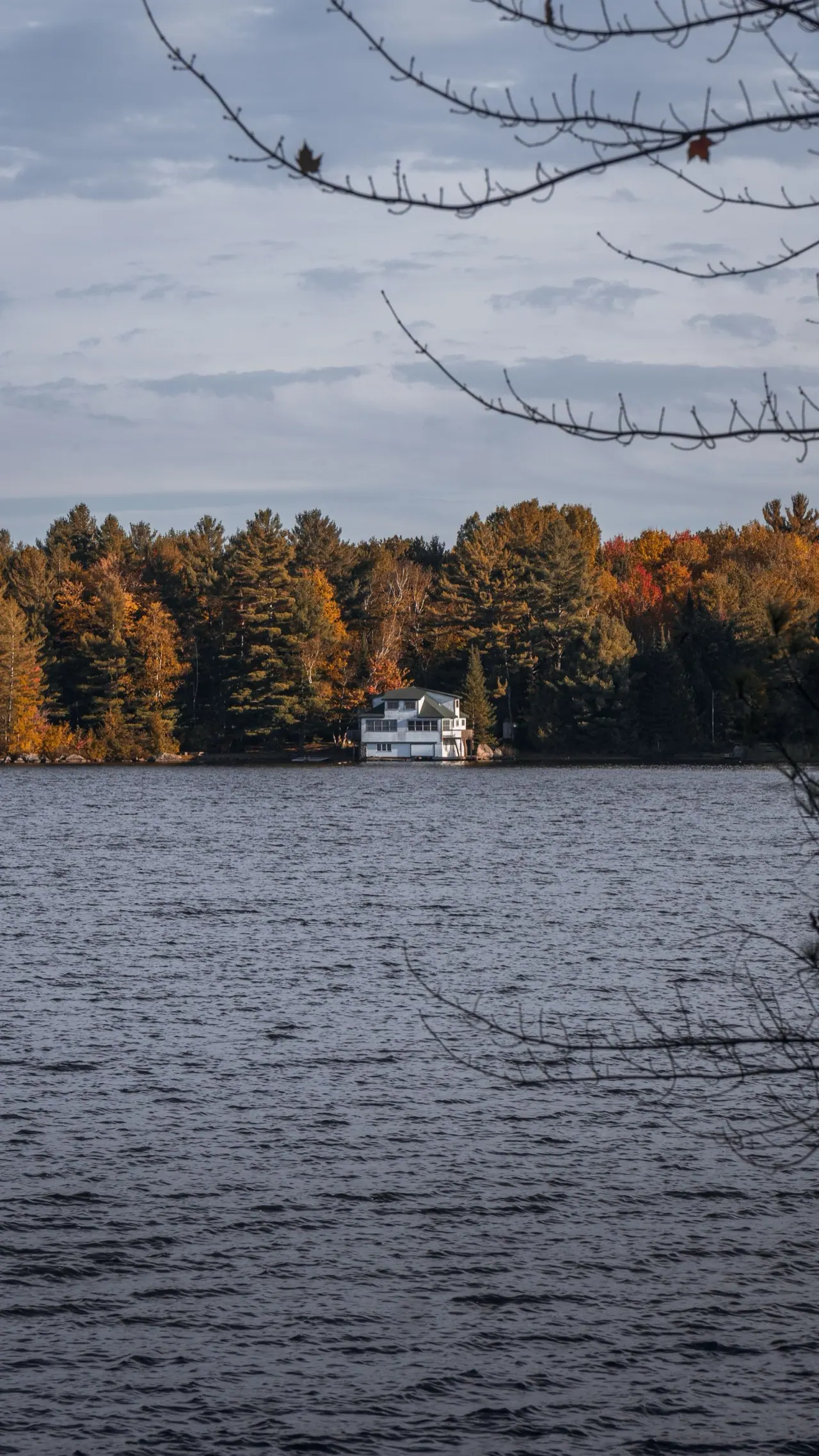 A Muskoka lake and cottage shoreline in autumn colours