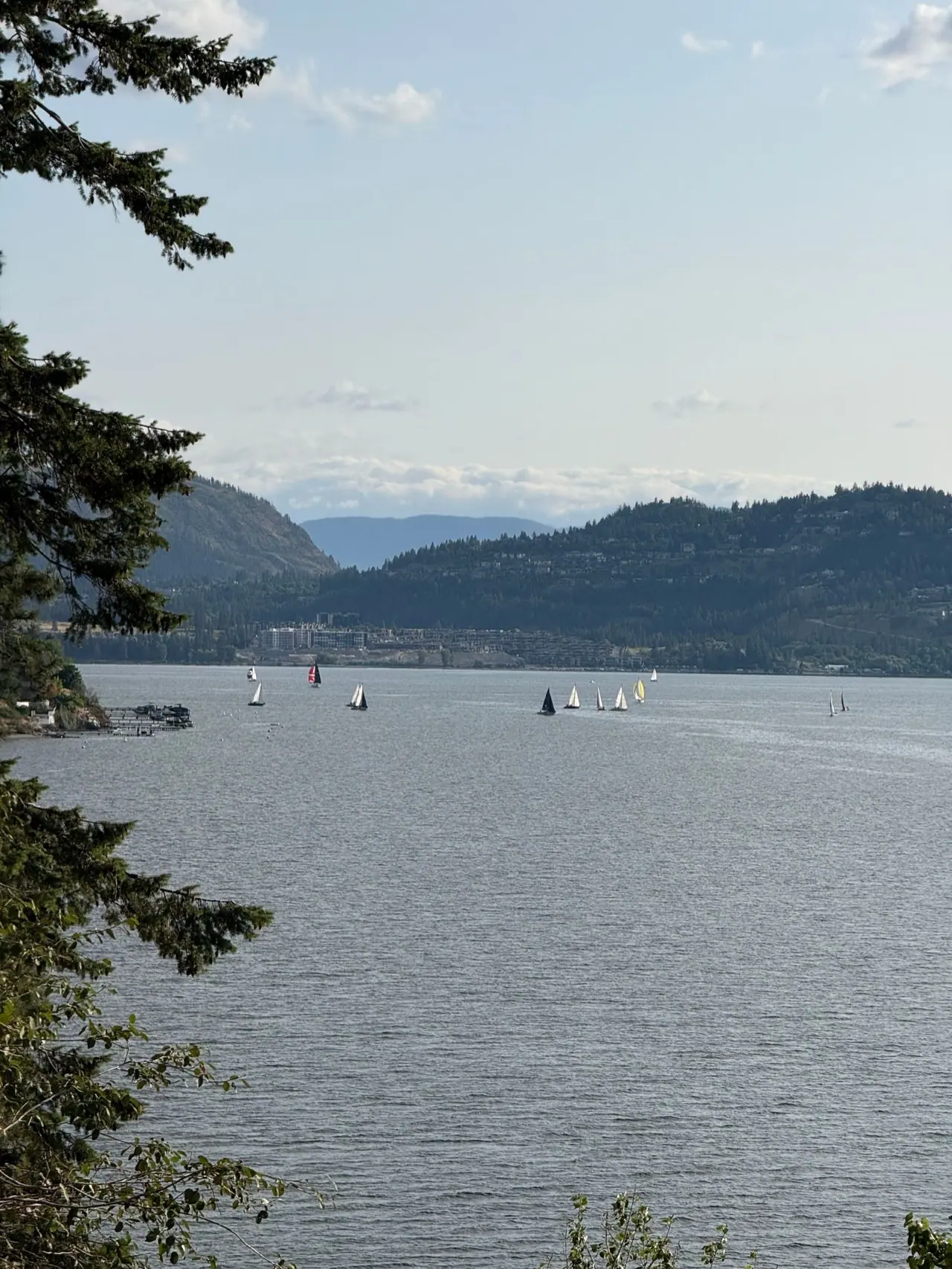 Sailboats on Okanagan Lake near Kelowna